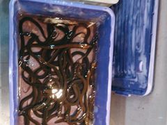 -野渡坡·极致湘菜·庭院餐厅(汉阳店)