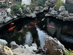 -鲤院·新中式美学·庭院餐厅(夫子庙店)