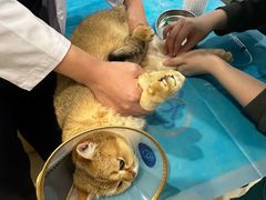 -美迦爱-牙专科·兔科·骨科诊疗中心(北苑店)