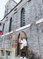 点击看大图 -金棕榈