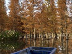 -白鹭湾湿地公园