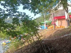 -天目湖松岭竹海漂流