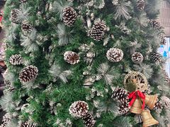 -浦江城市生活广场(江月路店)