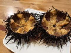 活海胆-海胆小馆(春柳店)