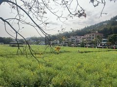 -红山村