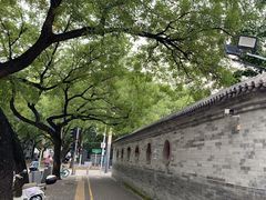 -北京第二实验小学