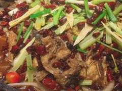 -老板恋上鱼(恒隆广场店)