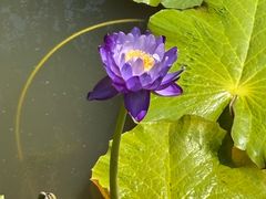 -云溪植物园