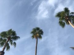 -马洛雷勒花园