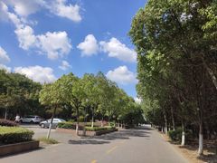 -东南大学(九龙湖校区)