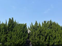 -汉陵苑