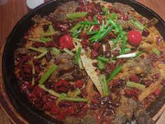 -老板恋上鱼(恒隆广场店)