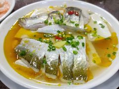 太湖白水鱼-元泰酒店