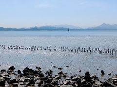 -深圳湾公园(南山区)