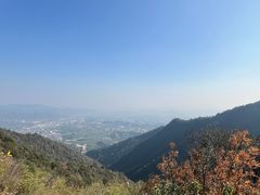 -午潮山国家森林公园