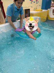 -蓝色海林婴幼儿水育馆(新辰里学清路店)