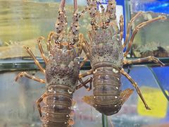 -友强·23年特色海鲜大排档(厦门店)