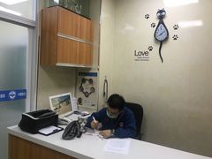 -康乐宝动物医院