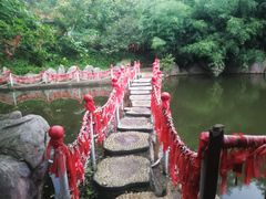 -雪山彩虹谷景区