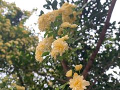 -樽宴酒楼·地道川菜·品质宴请