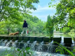 -桤木河湿地公园