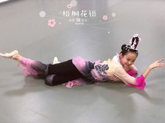 -梧桐花语舞蹈培训中心(潞城校区)