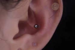 -众刺纹画·纹身·穿孔饰品·海娜定制