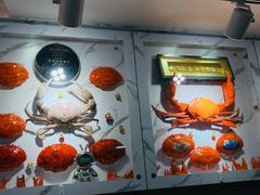 -龙海鲜螃蟹王(宏茂桥店)