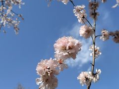 -北京明城墙遗址公园