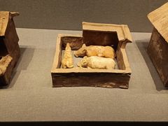 -广西壮族自治区博物馆