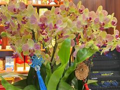 -湘寶缘(育英中学店)