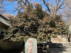 -青岛崂山太清宫
