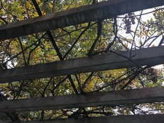 -西湖外事游船(花港观鱼码头)