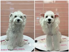 -FAELING PETS美天灵宠物(合生汇店)