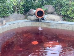 -余姚阳明温泉山庄