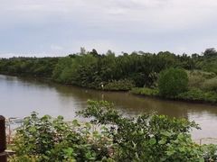 -东寨港红树林旅游区