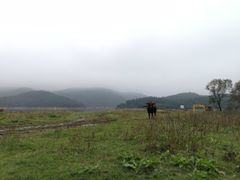 -大姆山草场