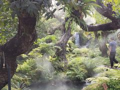 -Chom Cafe and Restaurant