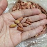老家的花生米