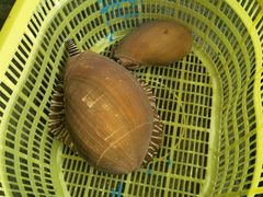 -鸿港海鲜批发市场