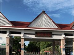 -上海都市菜园