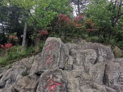 -大围山国家森林公园
