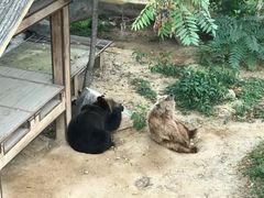 -石家庄市动物园