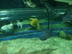 -福州罗源湾海洋世界旅游区