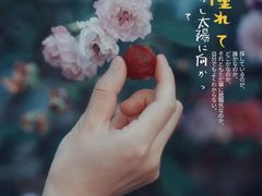 -盒马鲜生(悠方店)