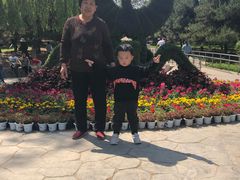 -石家庄市动物园