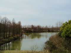 -上海海湾国家森林公园