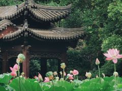 -莲湖公园