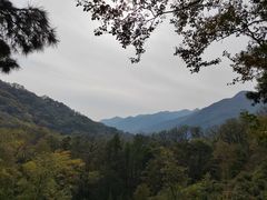 -波尔登森林公园