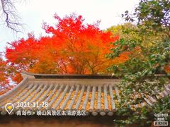 -青岛崂山太清宫